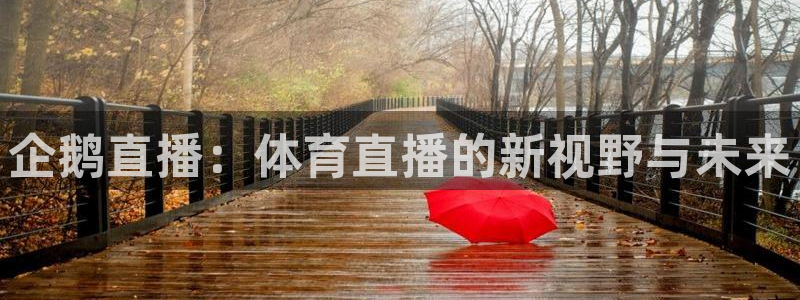 说球帝24小时直播在线观看：企鹅直播：体育直播的新视野与未来