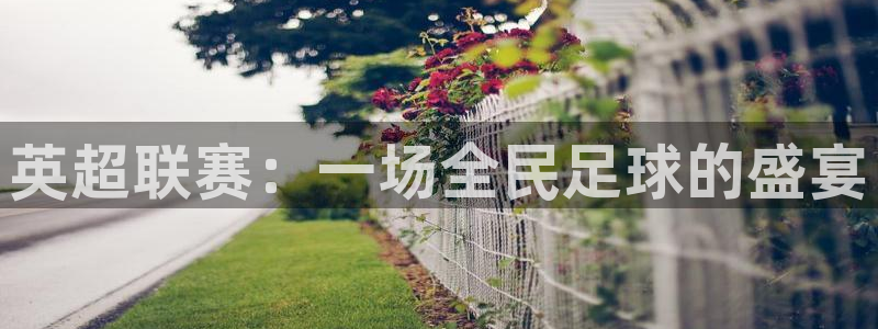 说球帝nba直播下载：英超联赛：一场全民足球的盛宴
