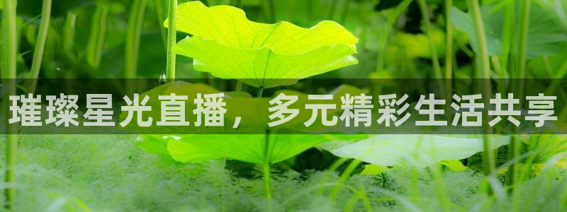 说球帝nba直播免费高清：璀璨星光直播，多元精彩生活共享