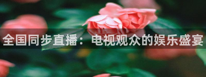 说球帝nba直播吧：全国同步直播：电视观众的娱乐盛宴