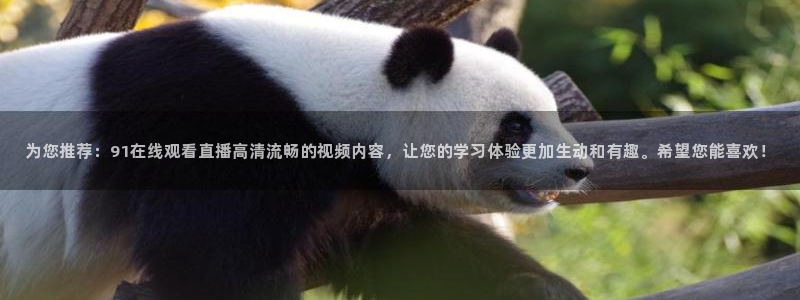 说球帝体育直播免费：为您推荐：91在线观看直播高清流畅的视频内容，让您的学习体验更加生动和有趣。希望您能喜欢！
