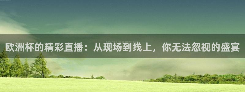 nba说球帝直播：欧洲杯的精彩直播：从现场到线上，你无法忽视的盛宴