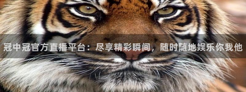 说球帝24小时直播在线观看：冠中冠官方直播平台：尽享精彩瞬间，随时随地娱乐你我他