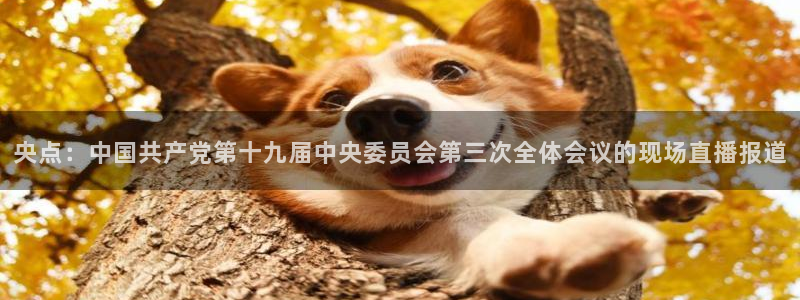 nba赛事直播说球帝：央点：中国共产党第十九届中央委员会第三次全体会议的现场直播报道