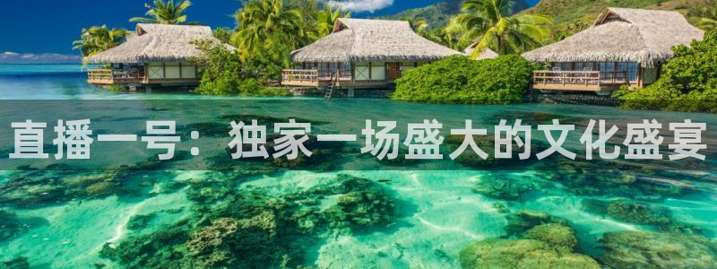 wnba直播免费观看说球帝：直播一号：独家一场盛大的文化盛宴