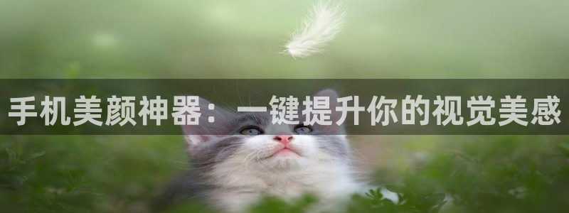 说球帝在线观看nba免费直播：手机美颜神器：一键提升你的视觉美感